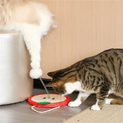 IntiMeg Griffoir en sisal pour chat