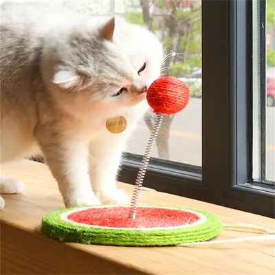 IntiMeg Griffoir en sisal pour chat