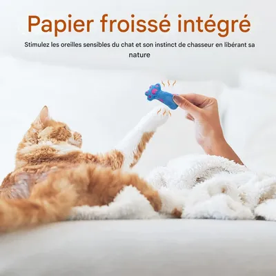 Pet Planet Chats 3 Pièces Jouet Menthe pour Chat