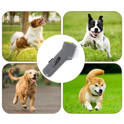 Pet Planet Lanceur de friandises pour chats et chiens