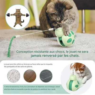 IntiMeg Jouet interactif distributeur de friandises pour chat