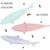 Pet Planet Chats Dental Jouet En Forme De Poisson Pour Chat