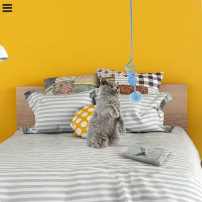 Petopia Lot de 3 balles à gratter pour chat