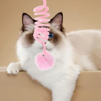 Petopia Juego de 3 pelotas rascadoras para gatos