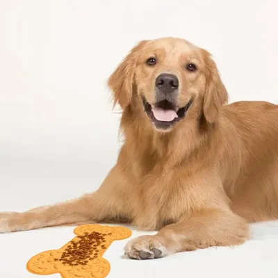 Petopia Tapis à lécher pour chien