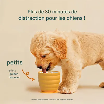 Pet Planet Bol d'alimentation lent pour chien