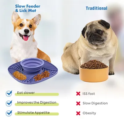 Petopia Tapis à lécher pour chien