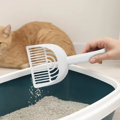 Petopia Pelle à litière pour chat