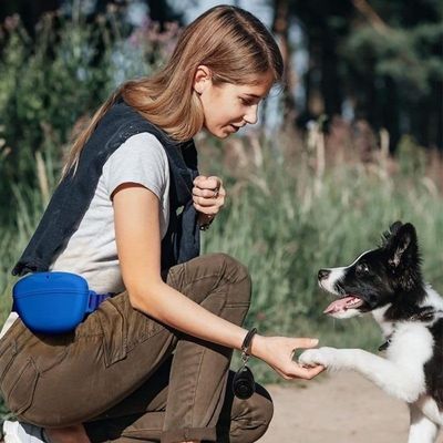 Pet Planet Chiens Sac À Friandises En Silicone Avec Ceinture