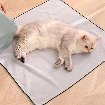 Pet Planet Enveloppe de toilettage pour chat