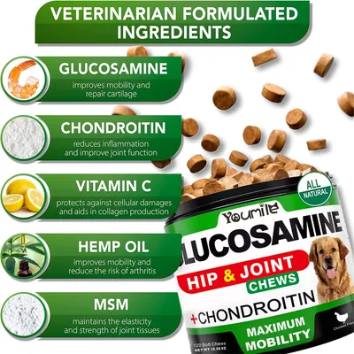 IntiMeg Supplément articulaire pour chien