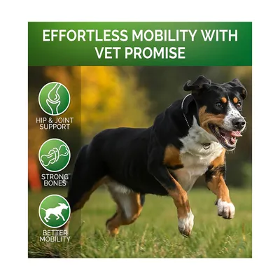 IntiMeg Supplément articulaire pour chien