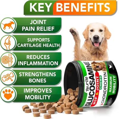 IntiMeg Supplément articulaire pour chien