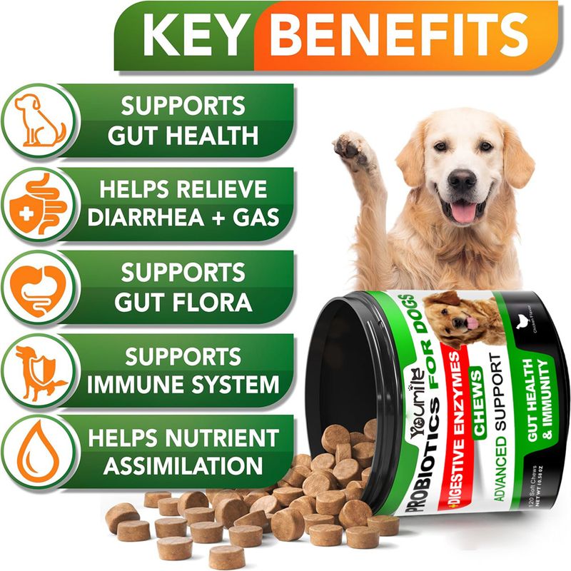 IntiMeg Suppléments probiotiques pour chiens
