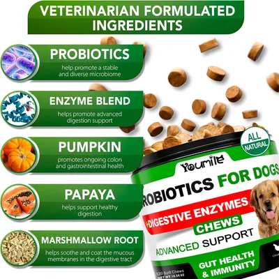 IntiMeg Suppléments probiotiques pour chiens