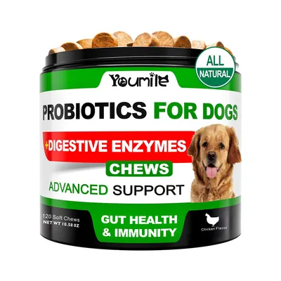 IntiMeg Suppléments probiotiques pour chiens