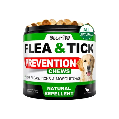 IntiMeg Médicament vermifuge pour chiens