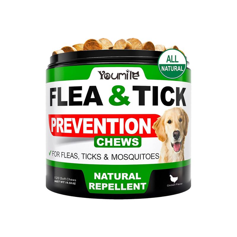 IntiMeg Médicament vermifuge pour chiens