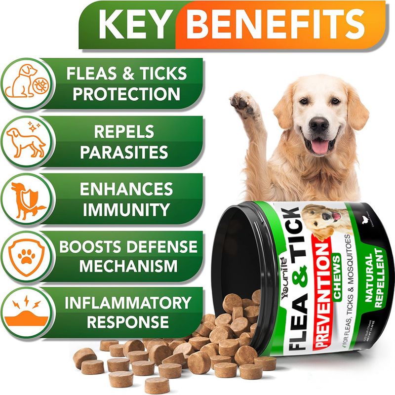 IntiMeg Médicament vermifuge pour chiens