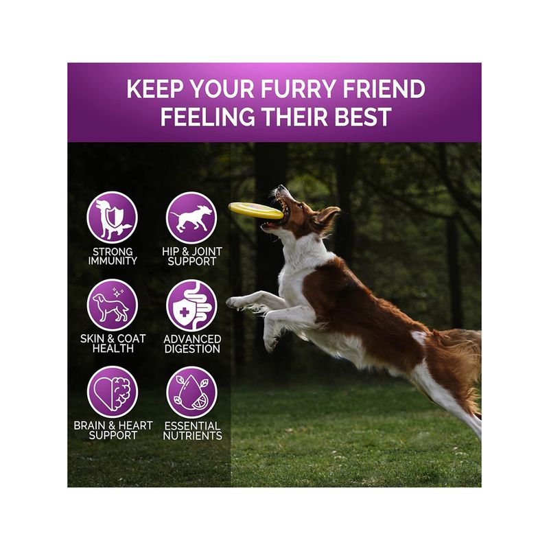 IntiMeg Complément multivitaminé pour chien