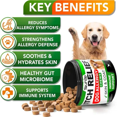 IntiMeg Comprimés contre les allergies pour chiens