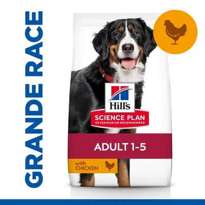 HILL'S -   CHIEN SCIENCE PLAN ADULTE LARGE POULET
