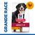 HILL'S -   CHIEN SCIENCE PLAN ADULTE LARGE POULET