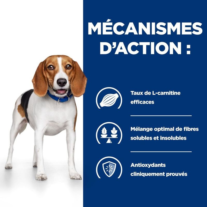HILL'S -   CHIEN ADULT PRESCRIPTION DIETS R/D WEIGHT LOSS