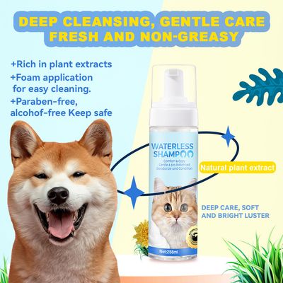 IntiMeg Espuma limpiadora para patas de perros y gatos 258 ml
