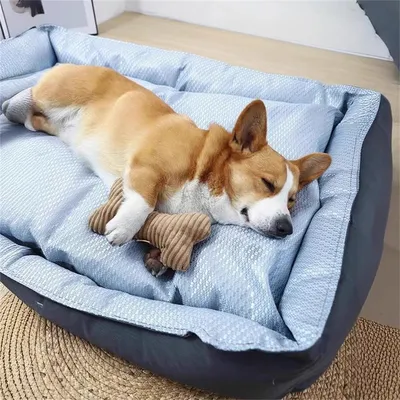 IntiMeg Lit rectangulaire pour chien