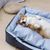 IntiMeg Lit rectangulaire pour chien