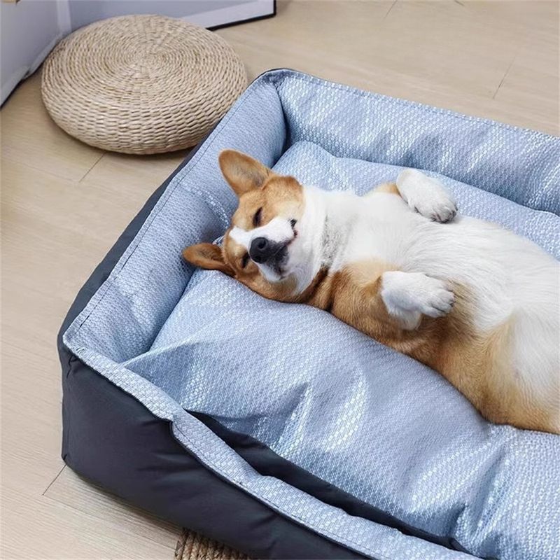 IntiMeg Lit rectangulaire pour chien