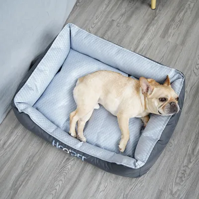 IntiMeg Lit rectangulaire pour chien