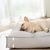 IntiMeg Lit rectangulaire pour chien