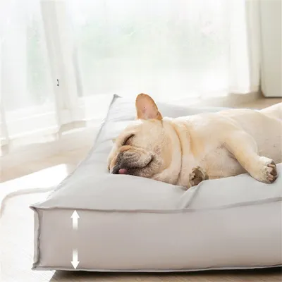 IntiMeg Lit rectangulaire pour chien