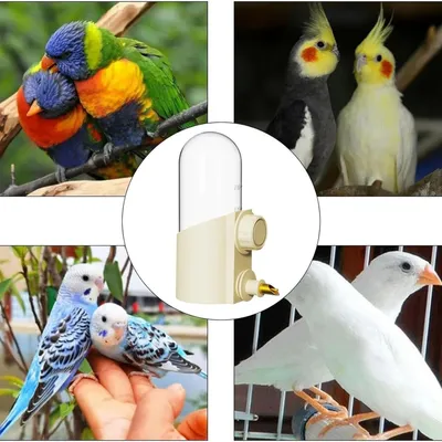 Petopia Distributeur d'eau pour oiseaux