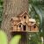 IntiMeg Mangeoire pour oiseaux sauvages