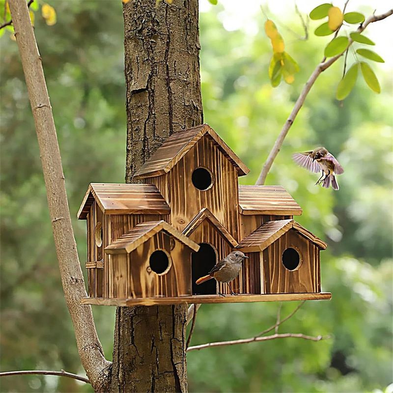 IntiMeg Mangeoire pour oiseaux sauvages
