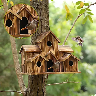 IntiMeg Mangeoire pour oiseaux sauvages