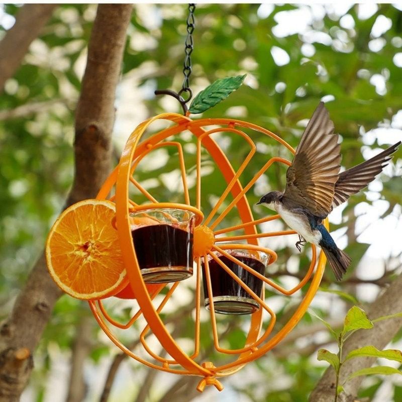 Petopia Mangeoire à colibris