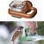 Petopia Tasse d'alimentation pour oiseaux