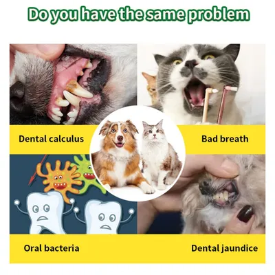 IntiMeg Poudre dentaire pour chiens et chats