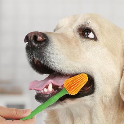 Petopia Brosse à dents pour animaux de compagnie