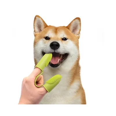 Petopia Lot de brosses à dents à doigts pour chiens et chats