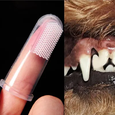 Petopia Brosses à dent doigtiers pour chien et chat