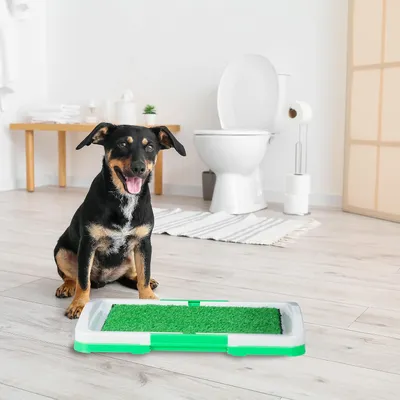 UAMLY Litière pour Chien, 3* Tapis de pelouse