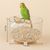 IntiMeg Perchoir en pierre ponce pour oiseaux