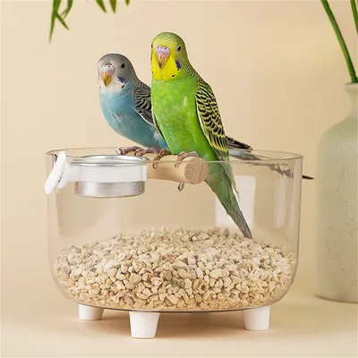 IntiMeg Perchoir en pierre ponce pour oiseaux