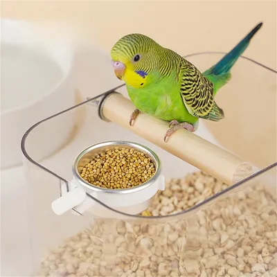 IntiMeg Perchoir en pierre ponce pour oiseaux