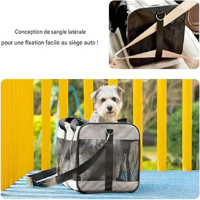 Petopia Sac de Transport pour Chat et Chien